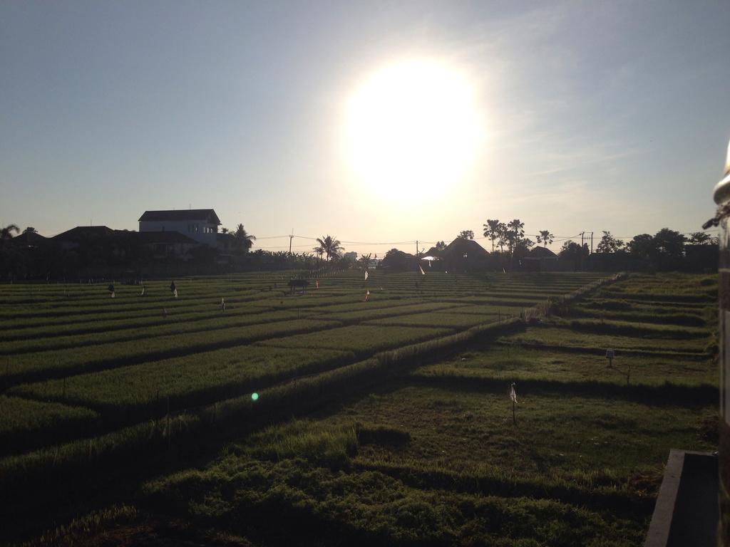 Ayu Guest House 2 Canggu Exterior foto