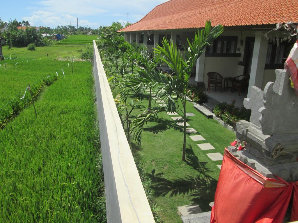 Ayu Guest House 2 Canggu Exterior foto